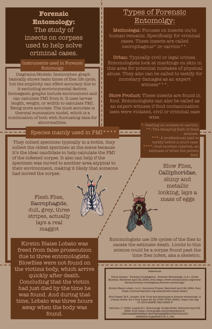 Forensic Entomology Poster