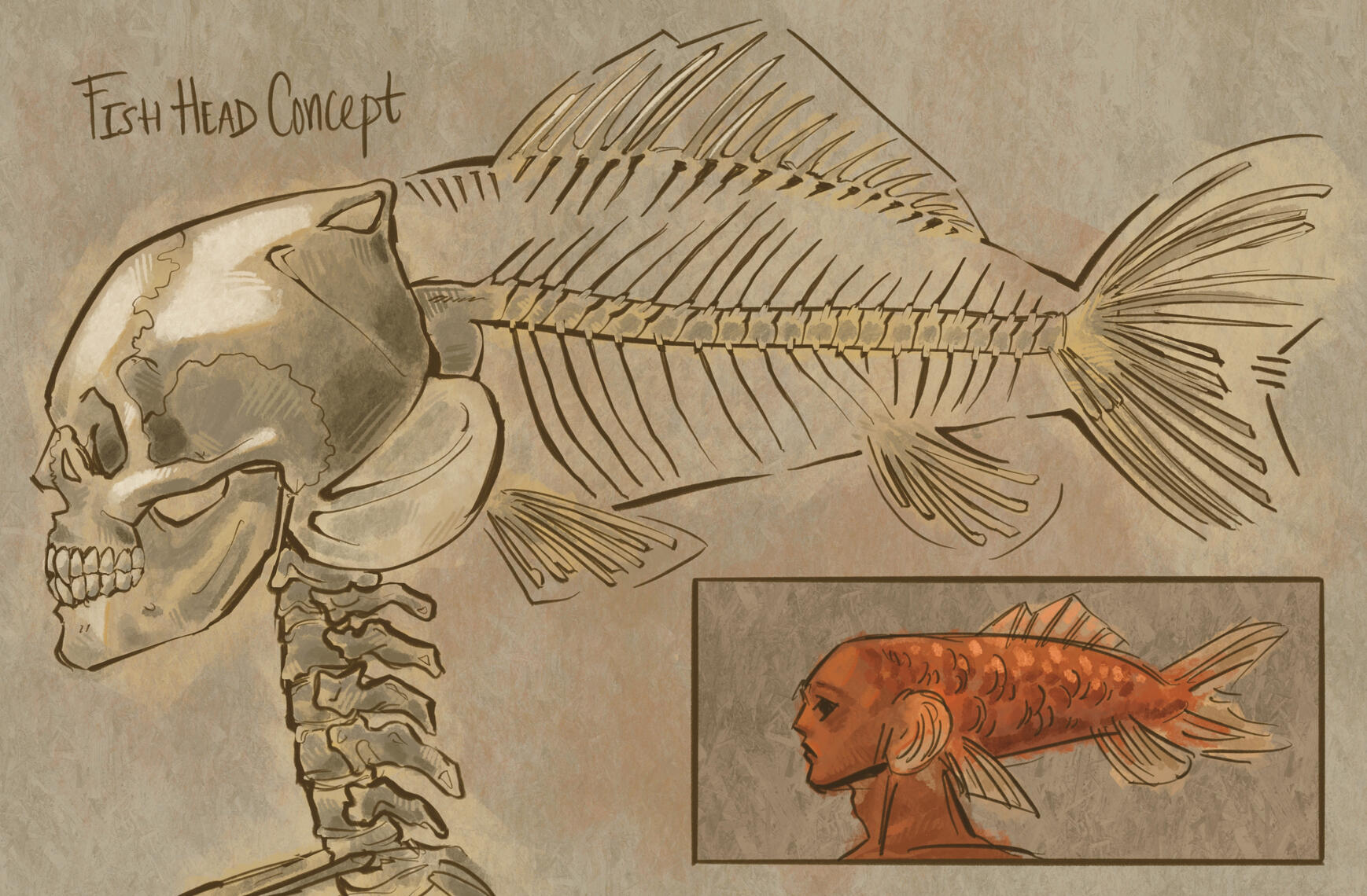 Anatomical Fish Concept
