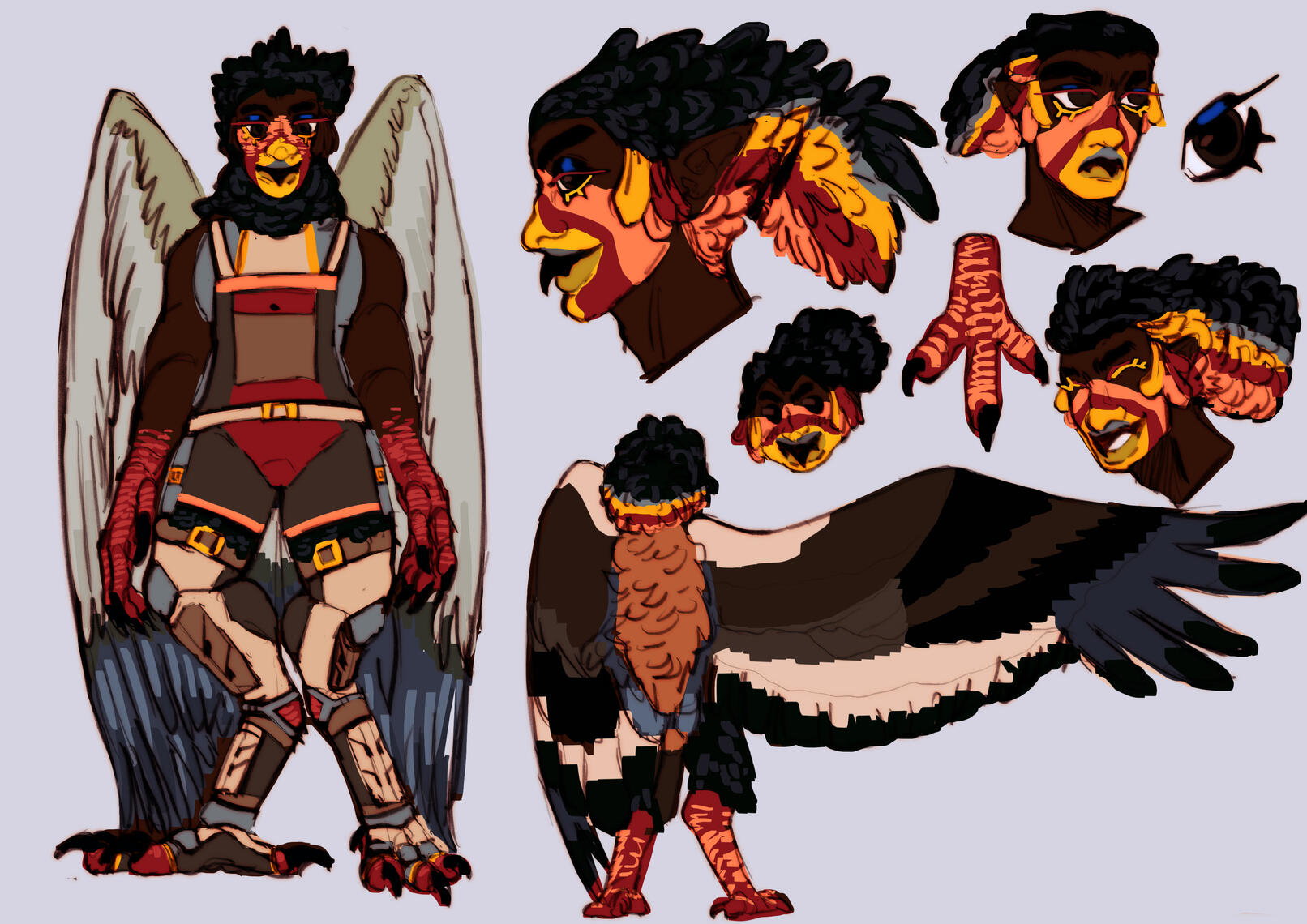 Cedric, the Cerebellar Hypoplasia Bateleur Eagle